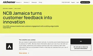 Preview of the National Commercial Bank Jamaica Limited Case Study