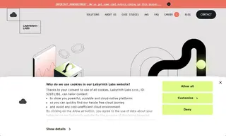 Preview of the Raiffeisen Bank Case Study