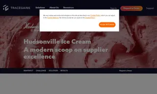 Preview of the Hudsonville Ice Cream Case Study