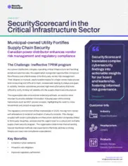 Preview of the Power Distribution Company Case Study