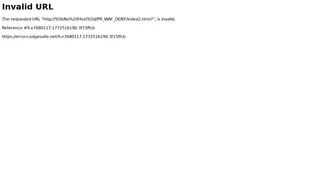 Preview of the Americas-Based Automotive Start-Up Case Study