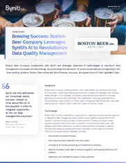 Preview of the Boston Beer Company Case Study