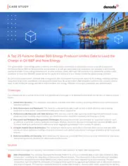 Preview of the Top 25 Fortune Global 500 Energy Producer Case Study