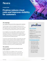 Preview of the Pivotree Case Study