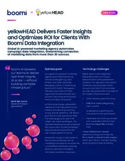 Preview of the yellowHEAD Case Study