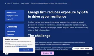 Preview of the Large Energy Firm Case Study