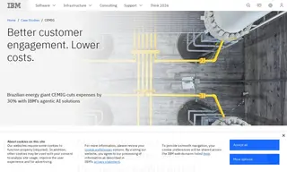 Preview of the CEMIG Case Study