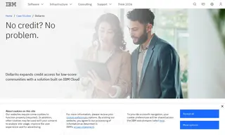 Preview of the Dollarito Case Study