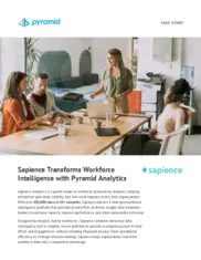Preview of the Sapience Analytics Case Study