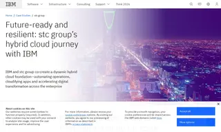 Preview of the stc group Case Study