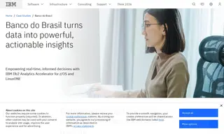 Preview of the Banco do Brasil Case Study