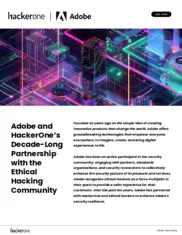 Preview of the Adobe Case Study