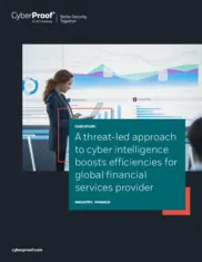 Preview of the Global Financial Services Provider Case Study