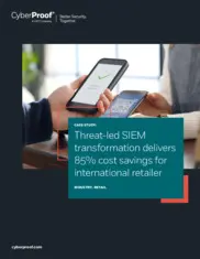 Preview of the International Retailer Company Case Study