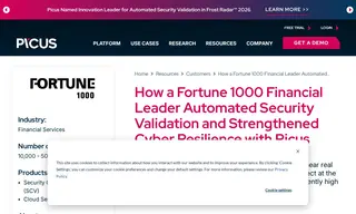 Preview of the Fortune 1000 Financial Leader Case Study