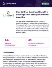 Preview of the Andavi Solutions Case Study