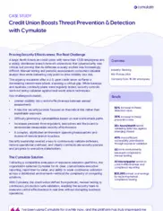 Preview of the Large North American Credit Union Company Case Study