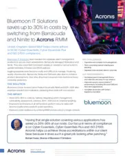 Preview of the Bluemoon IT Solutions Case Study