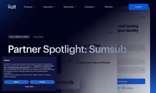 Preview of the Sumsub Case Study