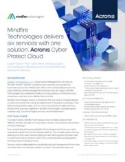 Preview of the Mindfire Technologies Case Study