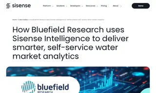 Preview of the Bluefield Research Case Study
