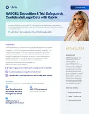 Preview of the NAEGELI Deposition & Trial Case Study