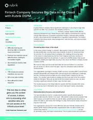 Preview of the Global Fintech Company Case Study