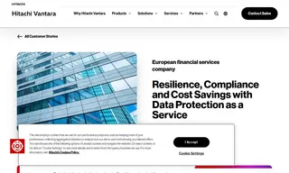 Preview of the European Financial Services Company Case Study