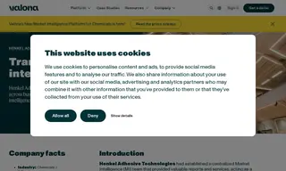 Preview of the Henkel Case Study