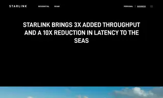 Preview of the Carnival Corporation & PLC Case Study