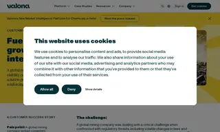 Preview of the Global Mining Company Case Study