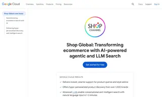 Preview of the Shop Global Case Study