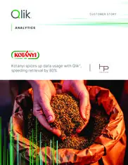 Preview of the Kotányi Case Study