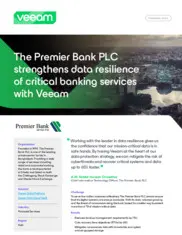 Preview of the The Premier Bank Case Study