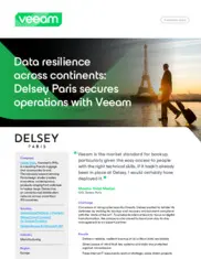 Preview of the Delsey Paris Case Study