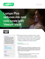 Preview of the Lamps Plus Case Study