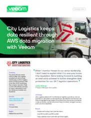 Preview of the City Logistics Case Study