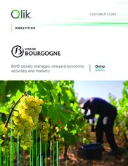 Preview of the Bureau Interprofessionnel des Vins de Bourgogne Case Study