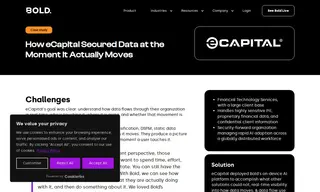 Preview of the eCapital Case Study