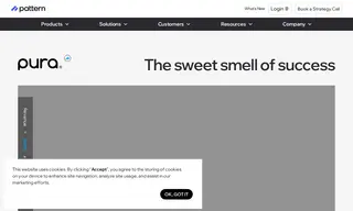 Preview of the Pura Case Study