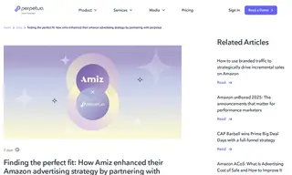 Preview of the Amiz Case Study