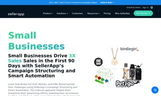 Preview of the Birdie Girl Golf Case Study