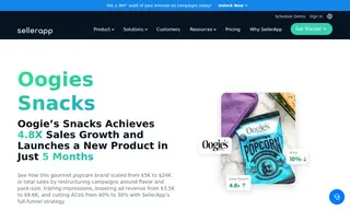 Preview of the Oogies Snacks Case Study