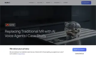 Preview of the Aditya Birla Capital Case Study