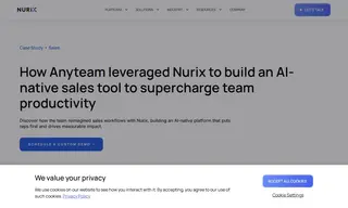 Preview of the Anyteam Case Study