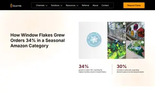 Preview of the Window Flakes Case Study