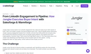 Preview of the Jungler Case Study