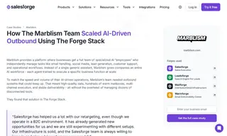 Preview of the Marblism Case Study