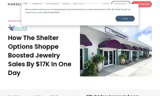 Preview of the The Shelter Options Shoppe Case Study