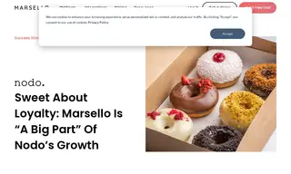 Preview of the Nodo Case Study